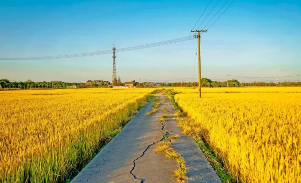 鄉(xiāng)間風景
